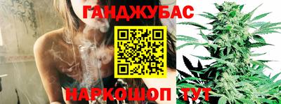 гидропоника Рязань