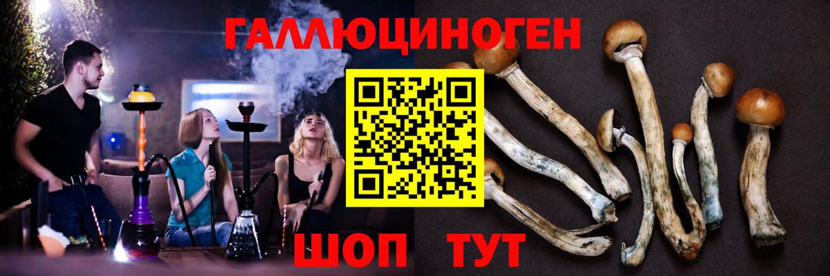 закладка  Вход с VPN  Сердобск  Псилоцибиновые грибы прущие грибы 